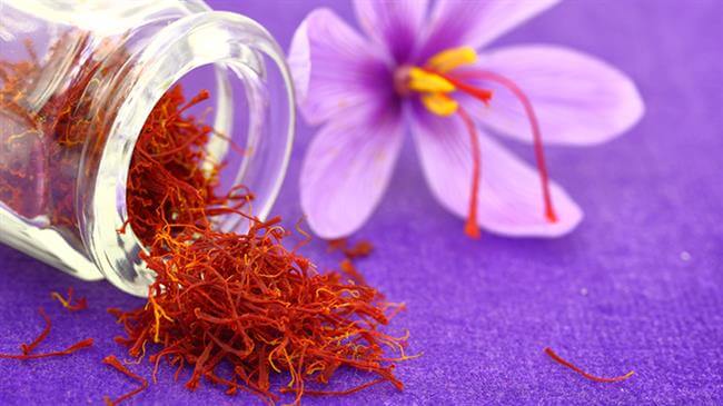 Giá Trị Dinh Dưỡng Trong Nhụy Hoa Nghệ Tây (Saffron) 1