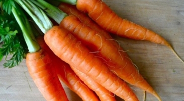 Top 4 Công dụng cho sức khỏe  của cà rốt