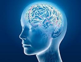 Top 7 Thói quen ảnh hưởng xấu đến sức khỏe bộ não