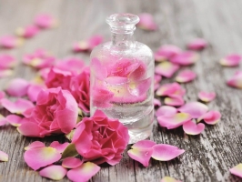 Top 8 Loại nước hoa hồng tốt nhất dành cho da dầu