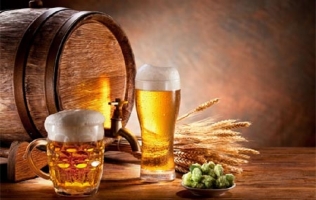 Top 8 Lợi ích bất ngờ của bia đối với sức khỏe và sắc đẹp