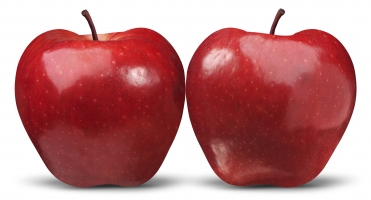 Top 9 Tác dụng đáng kinh ngạc của táo đỏ mà có thể bạn không biết
