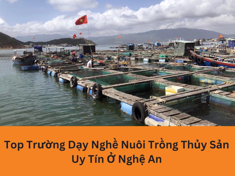 Địa Chỉ Nào Dạy Nghề Nuôi Trồng Thủy Sản Tại Nghệ An Tốt Nhất? 1