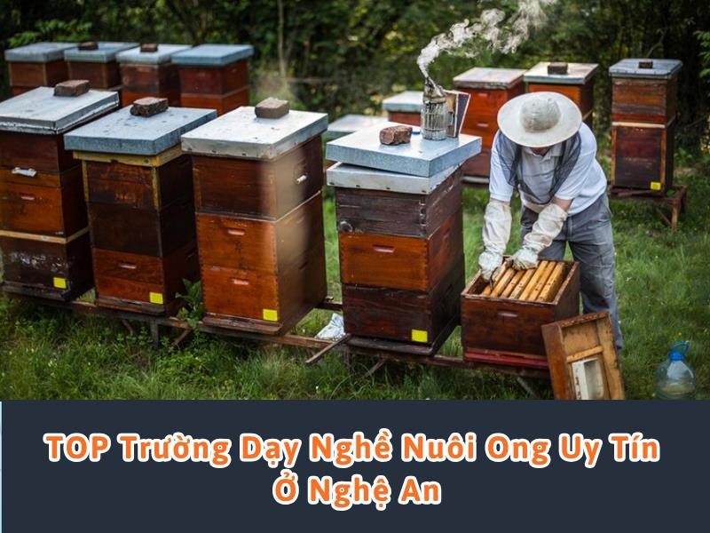 học nghề nuôi ong ở nghệ an