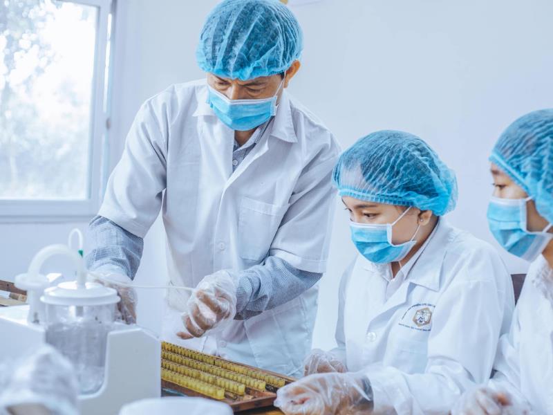 Có Nên Học Nghề Nuôi Ong Không? Học Ở Đâu Uy Tín? 3