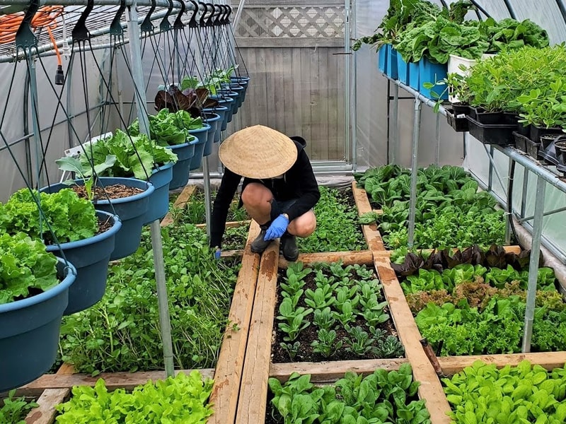 Top 6 Trường Dạy Nghề Kỹ Thuật Làm Vườn Uy Tín Ở Nghệ An Và Các Tỉnh Thành Lân Cận 3