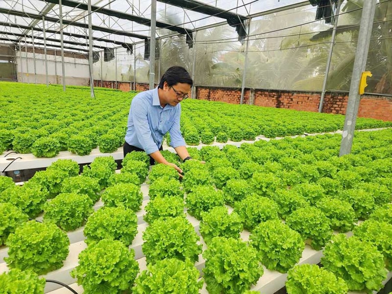 Top 6 Trường Dạy Nghề Kỹ Thuật Làm Vườn Uy Tín Ở Nghệ An Và Các Tỉnh Thành Lân Cận 4