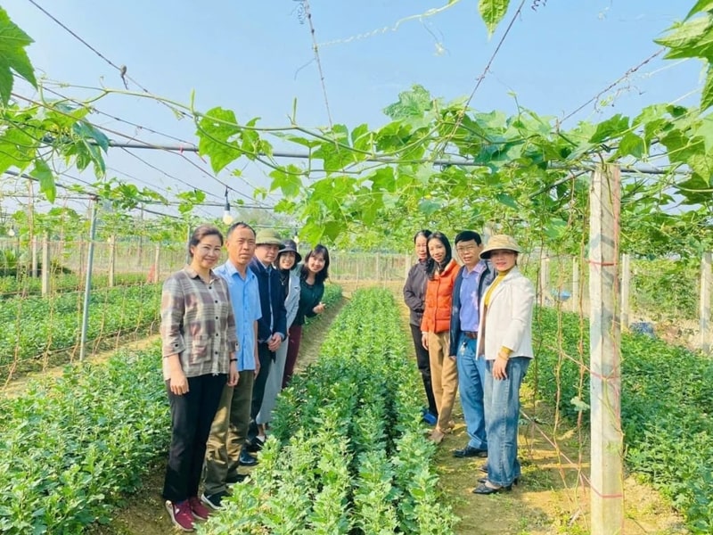 Top 6 Trường Dạy Nghề Kỹ Thuật Làm Vườn Uy Tín Ở Nghệ An Và Các Tỉnh Thành Lân Cận 5
